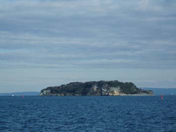 08sarushima